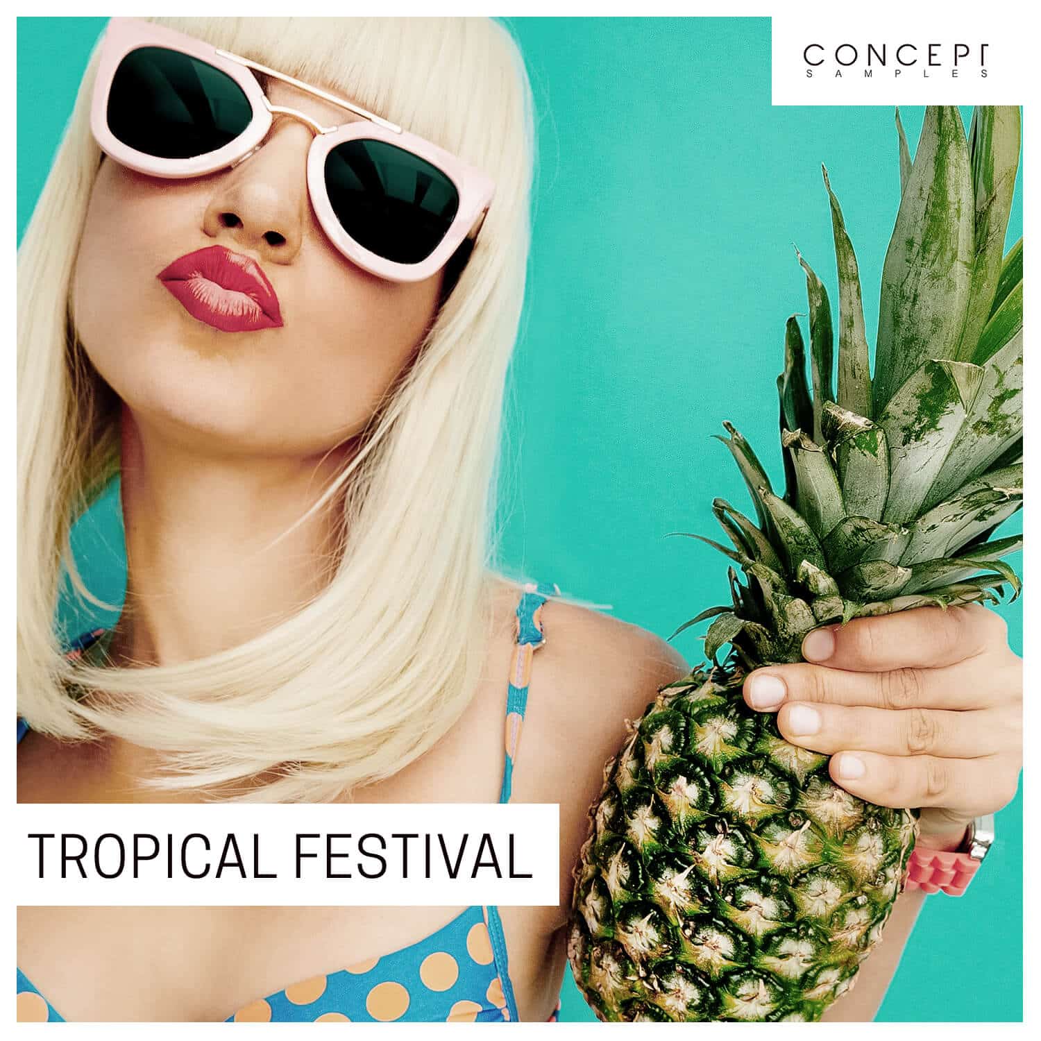 Tropical Festival Producer Sources