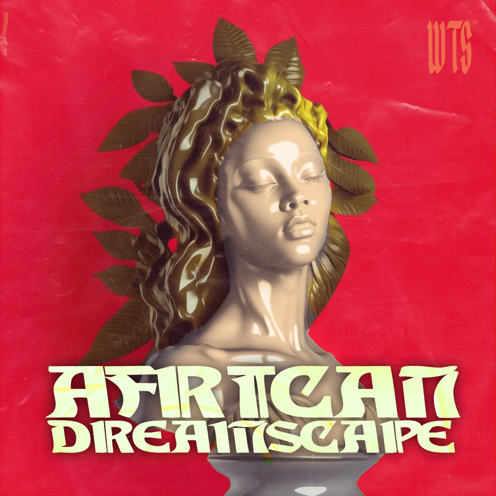 AFRICAN DREAMSCAPE - Producer Sources